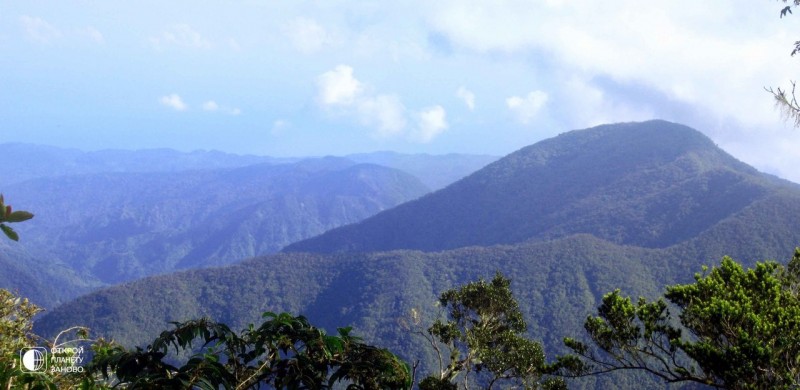 Голубые горы Ямайки