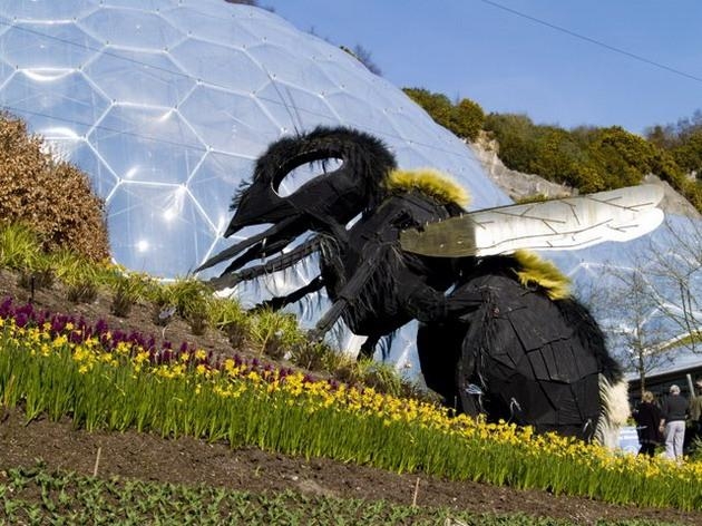 The Eden Project. The Eden Project.