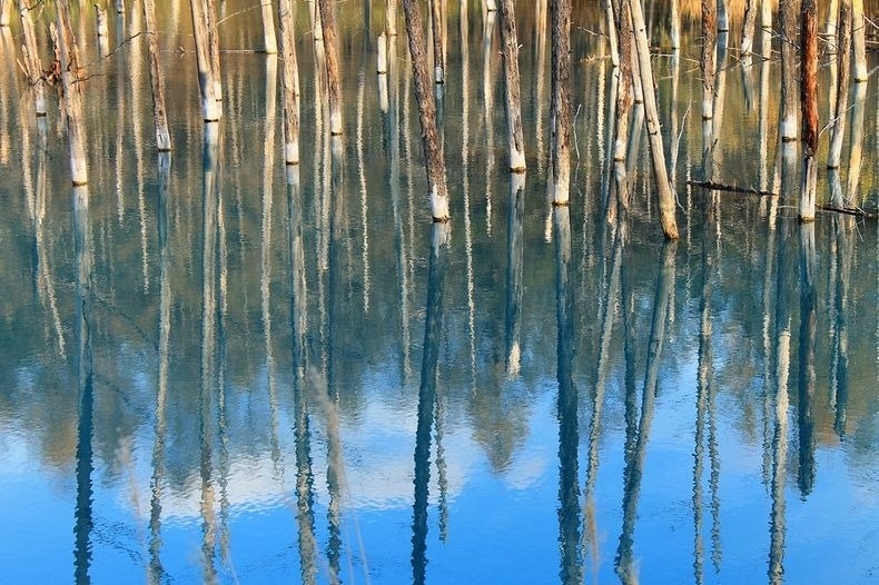 Голубой пруд (Blue Pond), Хоккайдо, Япония.