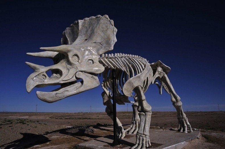 Целующиеся динозавры Эрэн-Хото в Китае