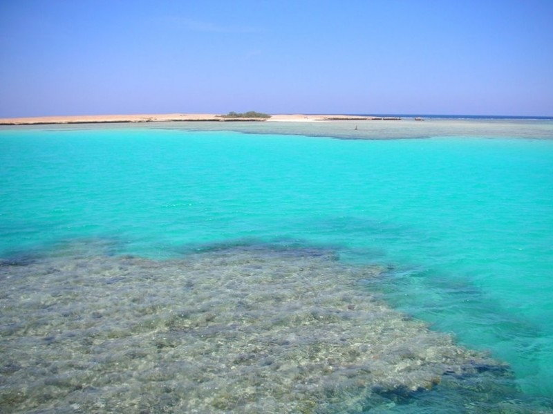 Красное море Красное море