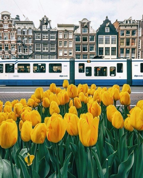Весенний Амстердам