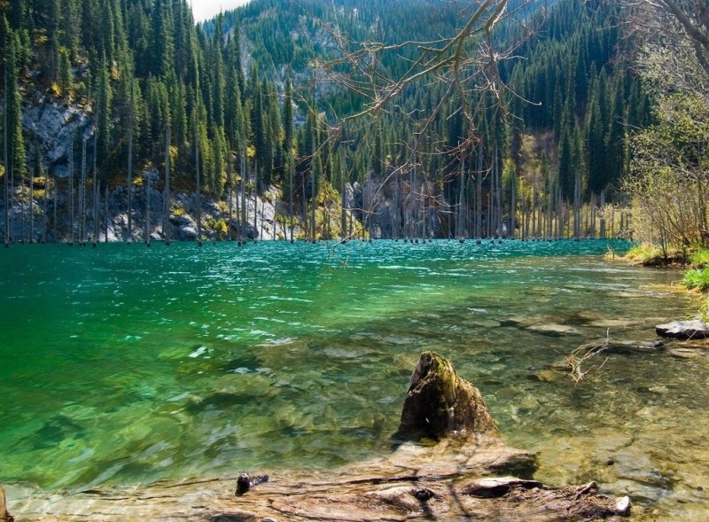Озеро Каинды - затонувший лес в Казахстане