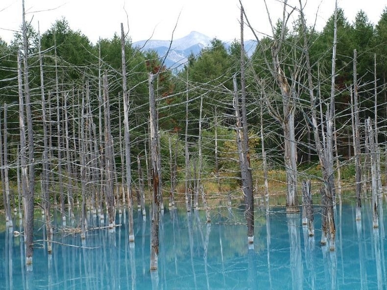 Голубой пруд (Blue Pond), Хоккайдо, Япония. Голубой пруд (Blue Pond), Хоккайдо, Япония.