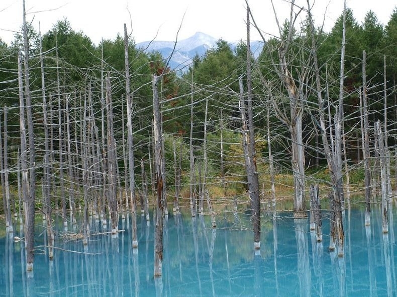 Голубой пруд (Blue Pond), Хоккайдо, Япония.