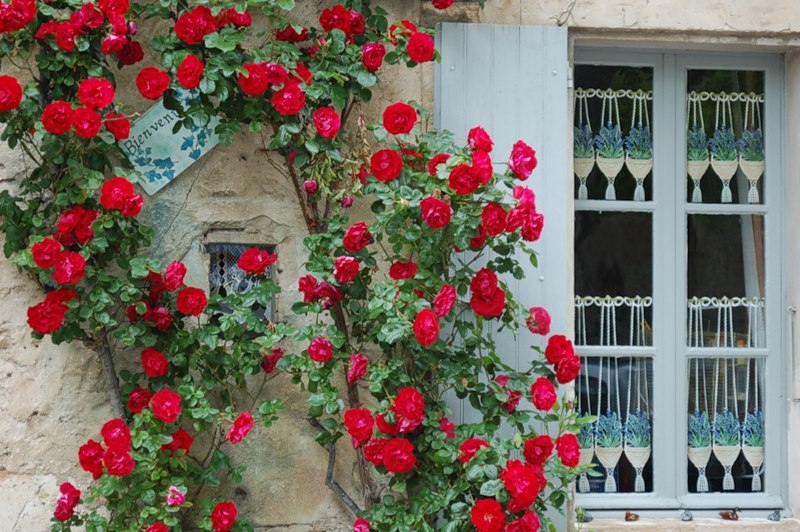 Везон-ла-Ромен (Vaison-la-Romaine). Прованс, Франция Везон-ла-Ромен (Vaison-la-Romaine). Прованс, Франция