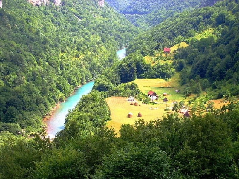 Река Тара в парке Дурмитор, Черногория