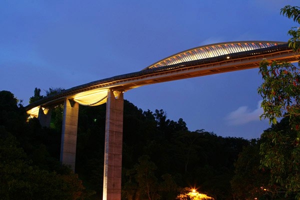 Мост Волны Хендерсона в Сингапуре