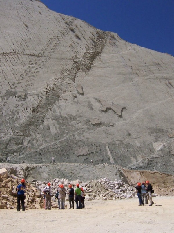 5000 следов динозавров в Боливии