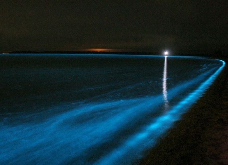 Гипселенд - озеро, которое светится ночью