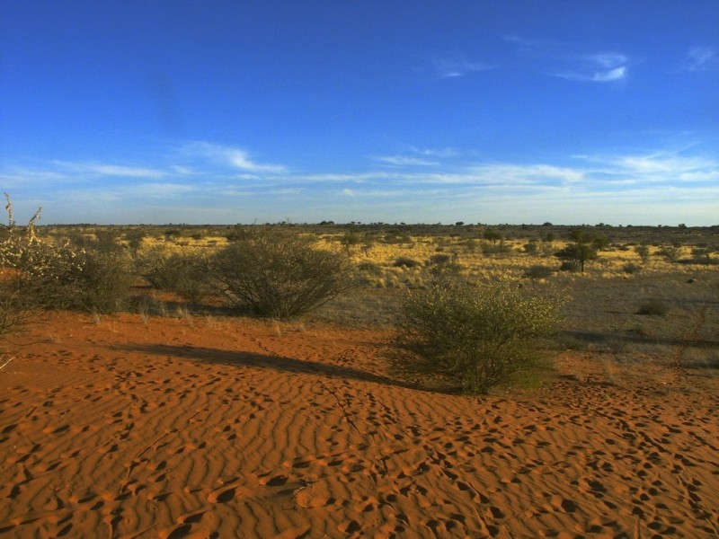 Самые большие песчаные пустыни в мире