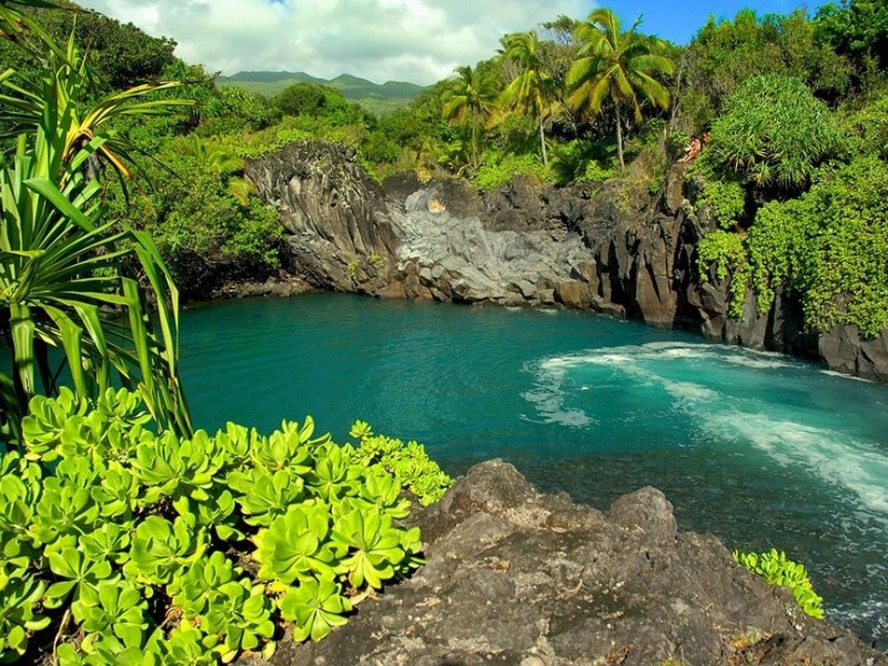 Потрясающие сады острова Мауи, Гавайский архипелаг 0