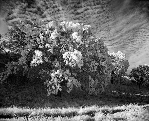 Черно-белая планета глазами Mitch Dobrowner