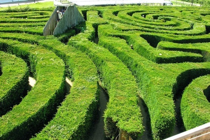 Longleat Hedge Maze: самый длинный в своём роде лабиринт в мире