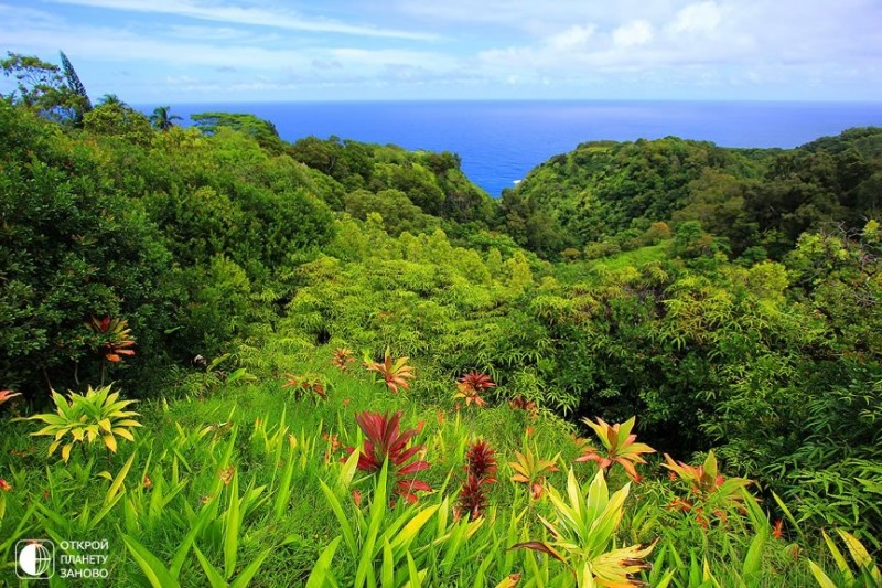 Остров Мауи - Эдемский сад
