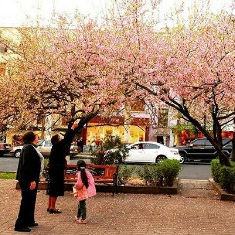 Весна в Ереване
