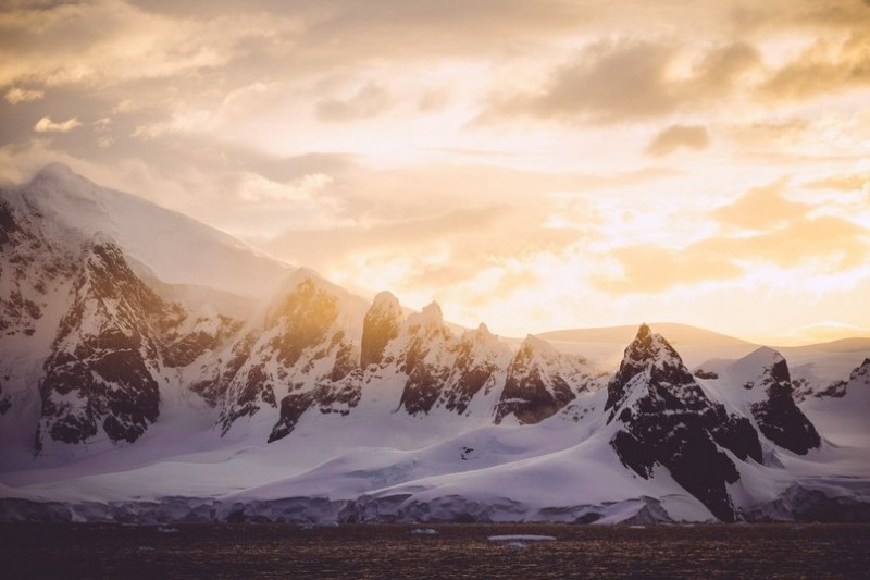 Холодная Антарктика...