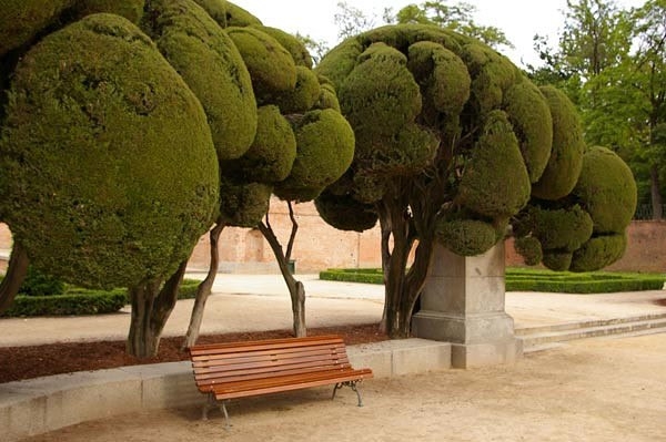 Необычные плюшевые деревья в парке Ретиро в Мадриде, Испания