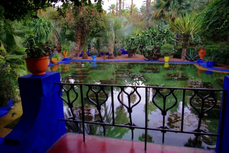 Сад Мажореля: гармония флоры, моды и искусства (Марокко)