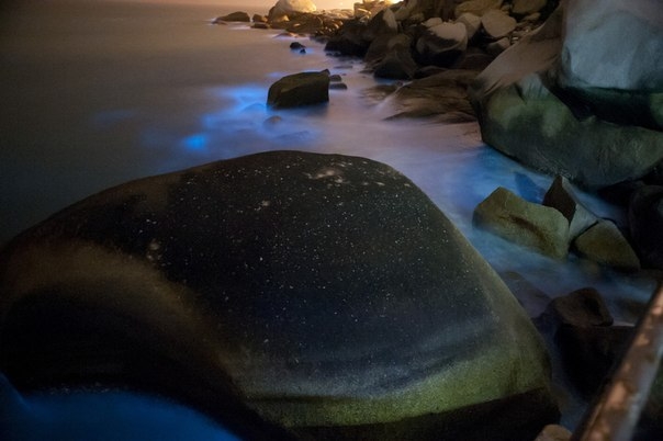 Загадочные светящиеся воды Загадочные светящиеся воды