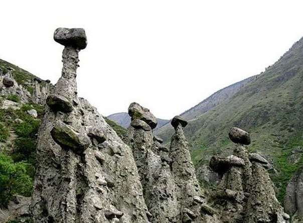 Каменные грибы Алтая