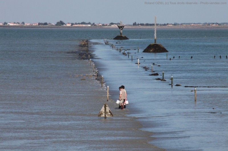 Автомобильная дорога, которая уходит под воду