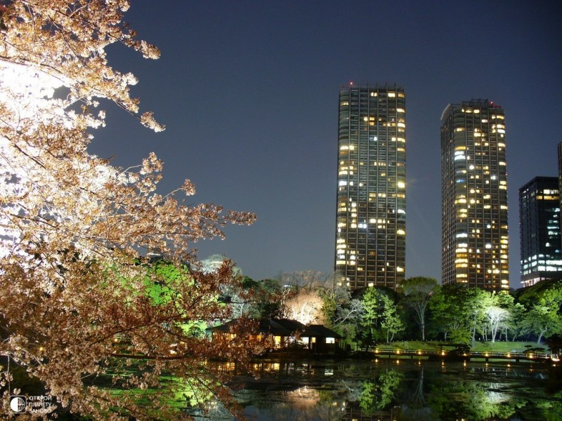Cады Хамарикю в Токио в ночное время