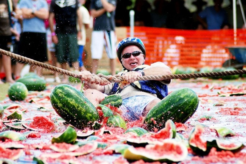 Фестиваль для любителей арбузов Chinchilla Melon