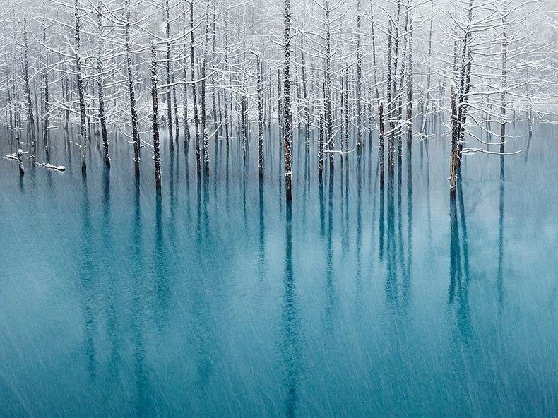 Голубой пруд (Blue Pond), Хоккайдо, Япония.