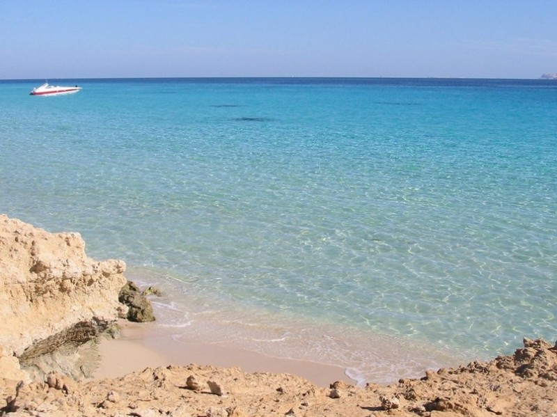Красное море Красное море