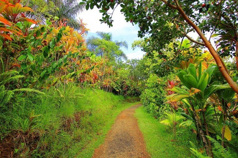 Потрясающие сады острова Мауи, Гавайский архипелаг 7