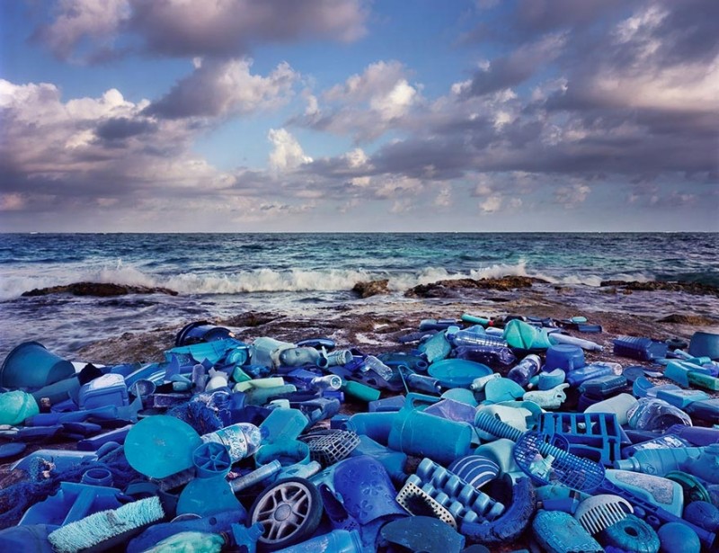 Мусорный арт: инсталляции из мусора из 50 стран мира