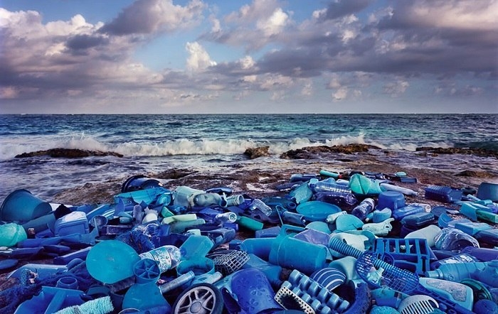 «Выброшенные на берег»: яркие и пугающие инсталляции из пластикового мусора