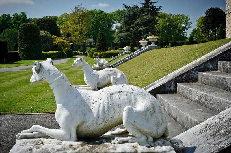 Сады Brodsworth Hall. Англия