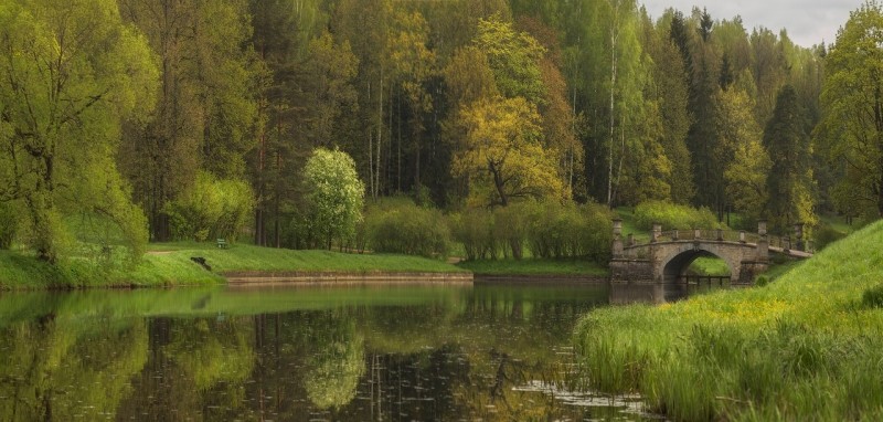 Павловский парк