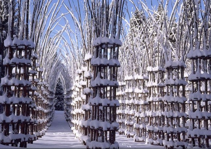 Живой собор из растений Cattedrale Vegetale, Италия Живой собор из растений Cattedrale Vegetale, Италия