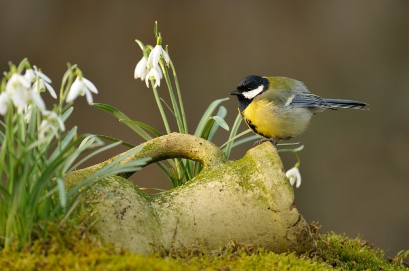 Позитив от фотографа Edwin Kats