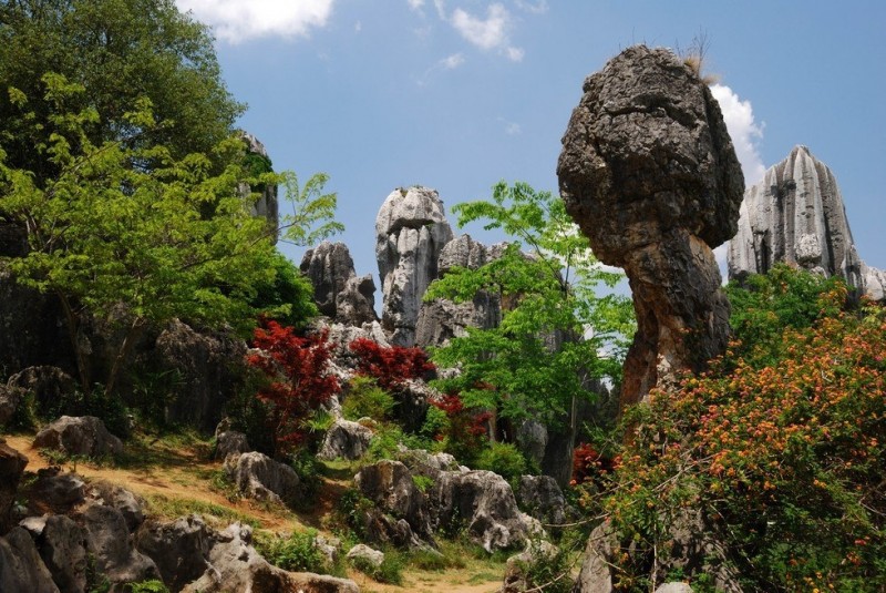 «Каменный лес» в провинции Юньнань