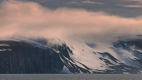Холодная красота Арктики