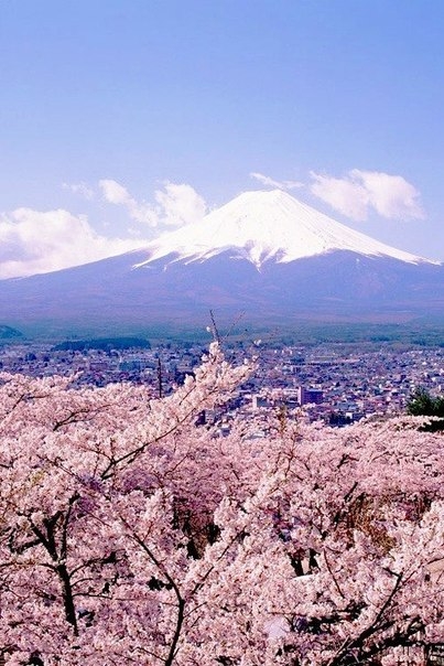 Красоты горы Фуджи