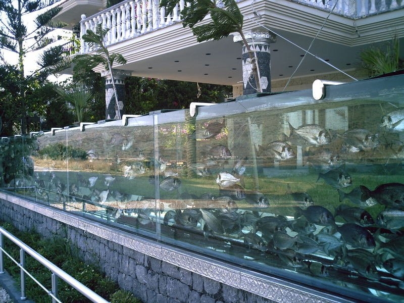 50-метровый аквариум вместо забора