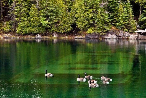 Под водами Гурона Под водами Гурона