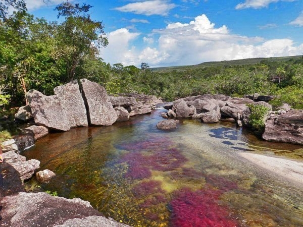 Радужная река в Колумбии