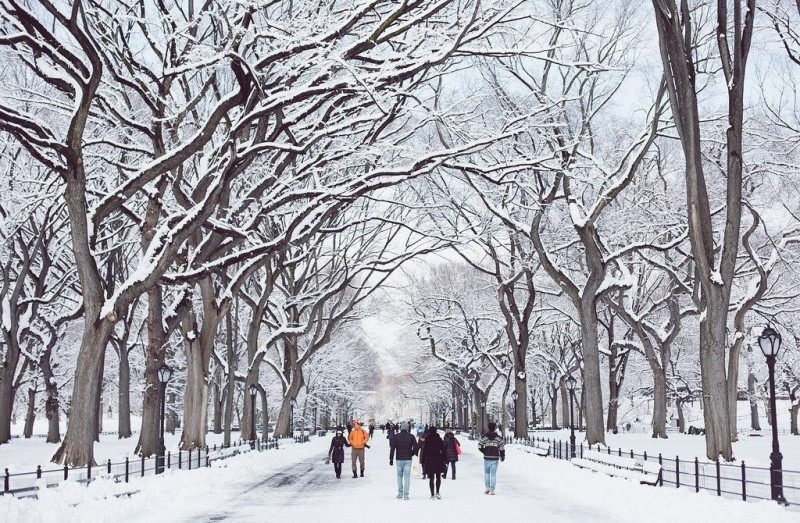 Зимний Центральный парк, Нью-Йорк