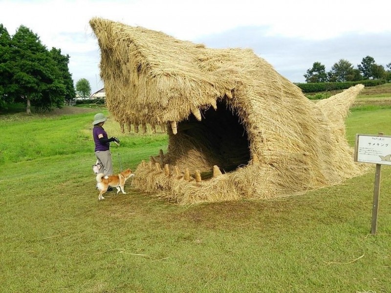 Соломенные монстры, Япония.