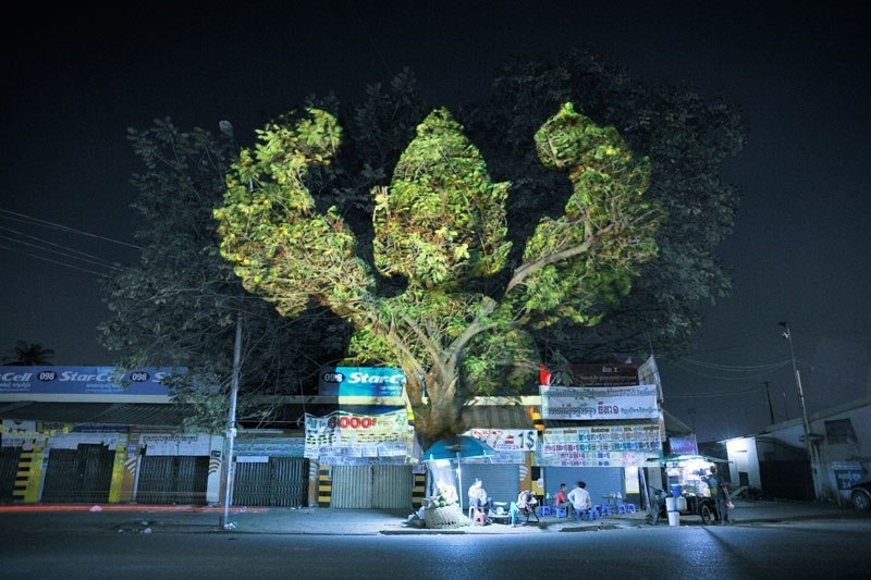 3D проекции на деревья.