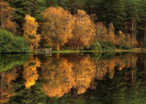 Шотландская осень от  фотографа Роджера Меррифилда