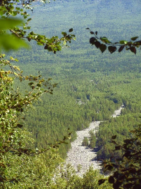 Курумы: Каменные реки Урала, Россия Курумы: Каменные реки Урала, Россия