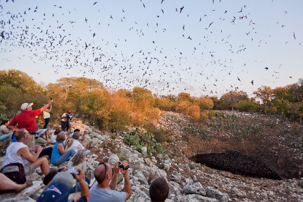 Пещера Bracken Bat Cave, расположенная в южной части техасского округа Кома...