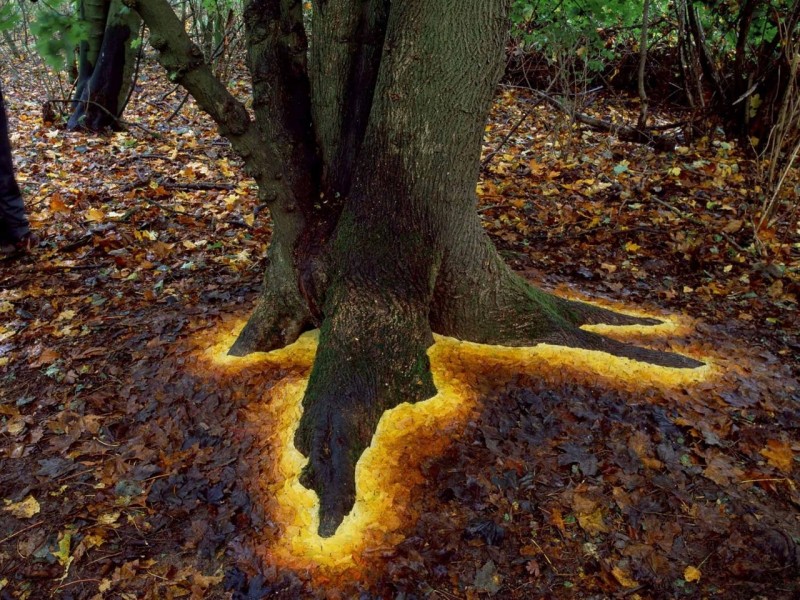 Природный арт Andy Goldsworthy